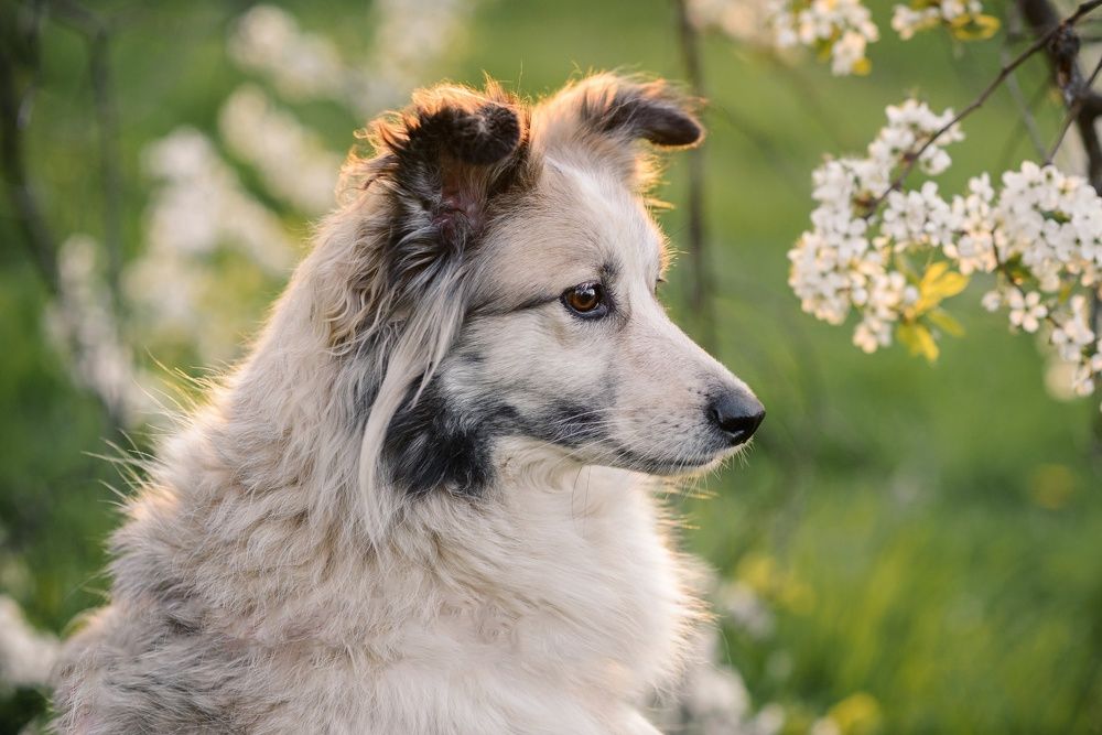 Photograph by Елена Маслова