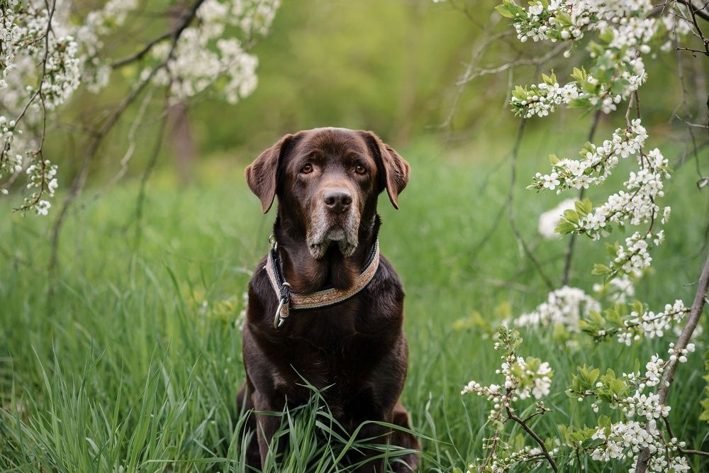 Photograph by Елена Маслова
