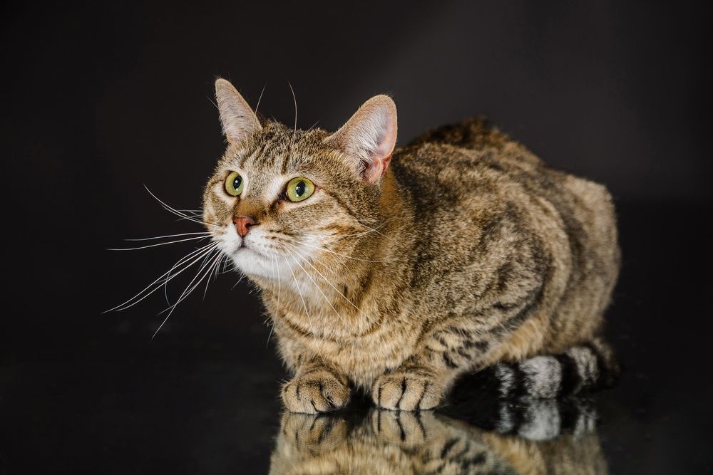 Photograph by Елена Маслова