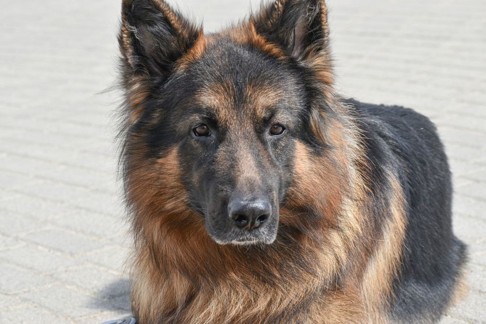 Photograph by Eva Kurkjian