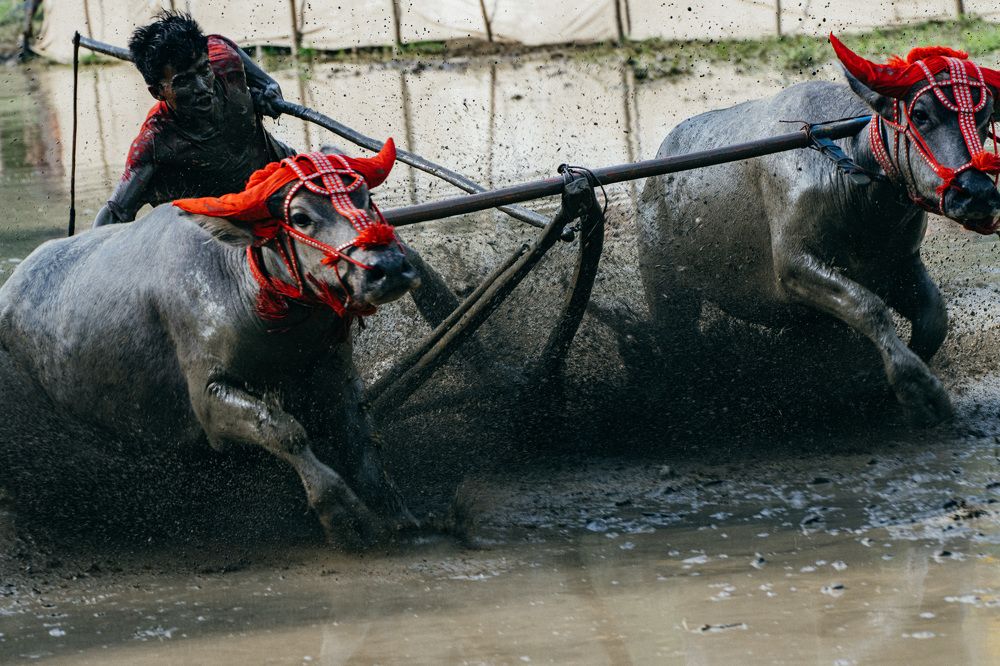 Photograph by Юрий Смольницкий