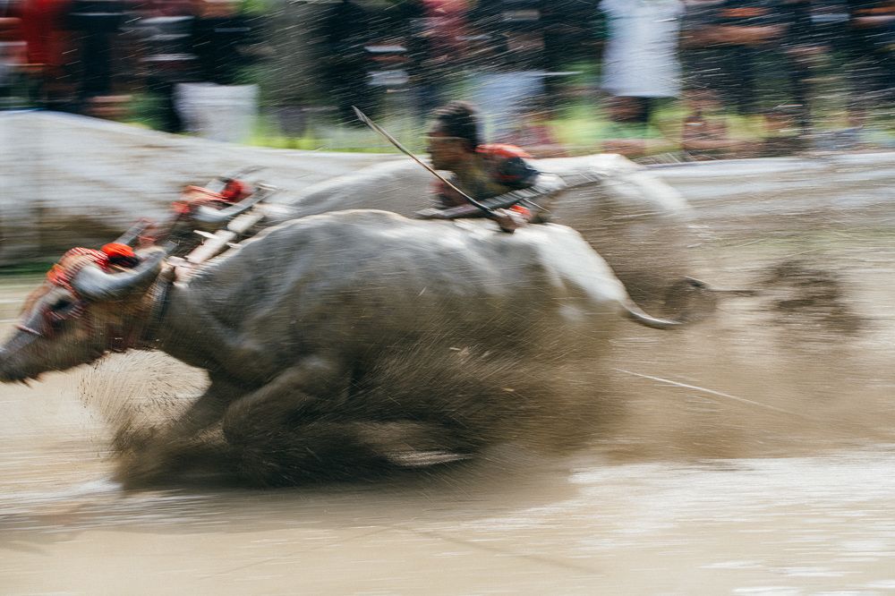 Photograph by Юрий Смольницкий