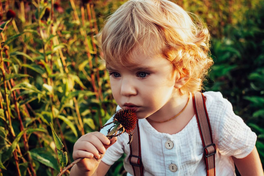 Photograph by Галина Ноздрина