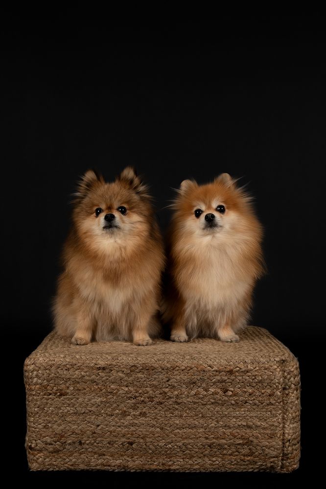 Фотография автора Alicia Mate