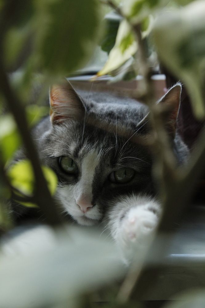 Photograph by Anna Emelyanova