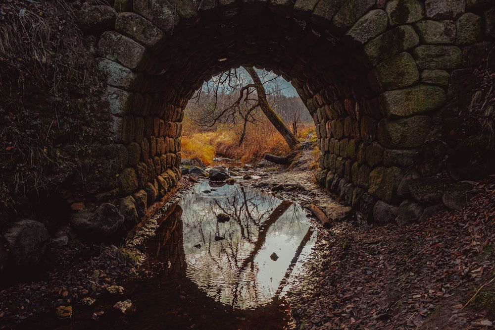 Photograph by Александр Щедрин