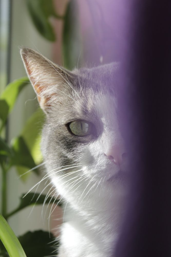 Photograph by Anna Emelyanova