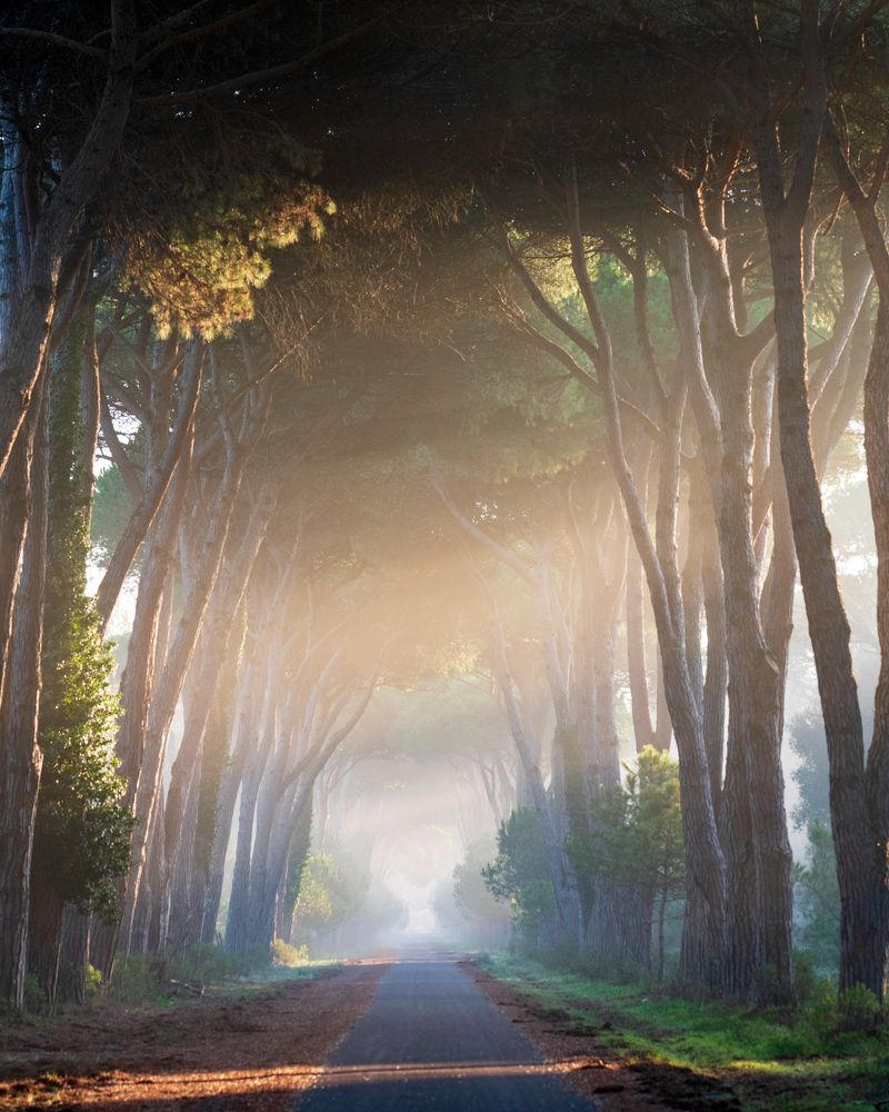 Photograph by Michele Chiroli