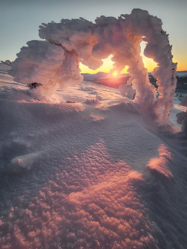 Photograph by Василий Яковлев