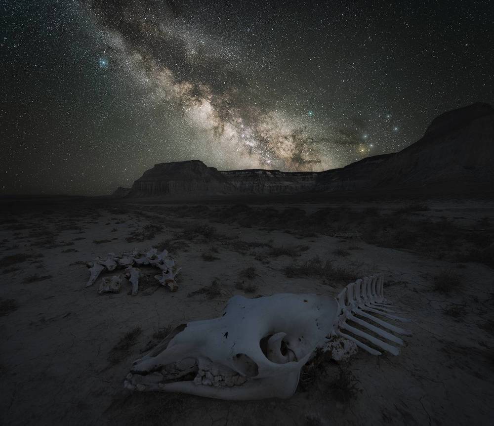 Звезды Казахстана