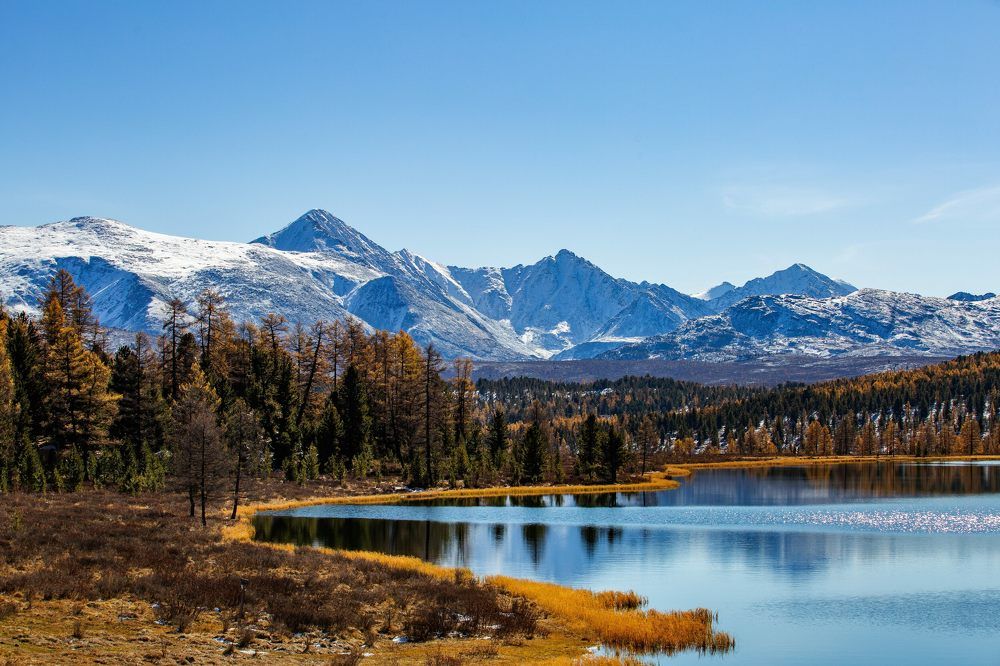 Photograph by Поляков Алексей