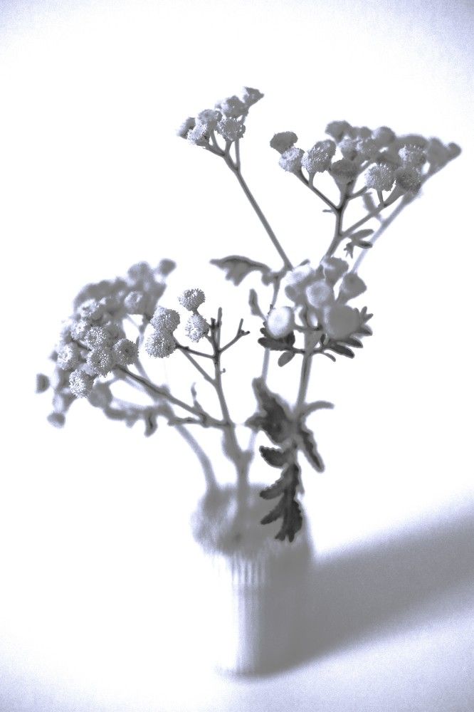 Photograph by Владимир Грибков