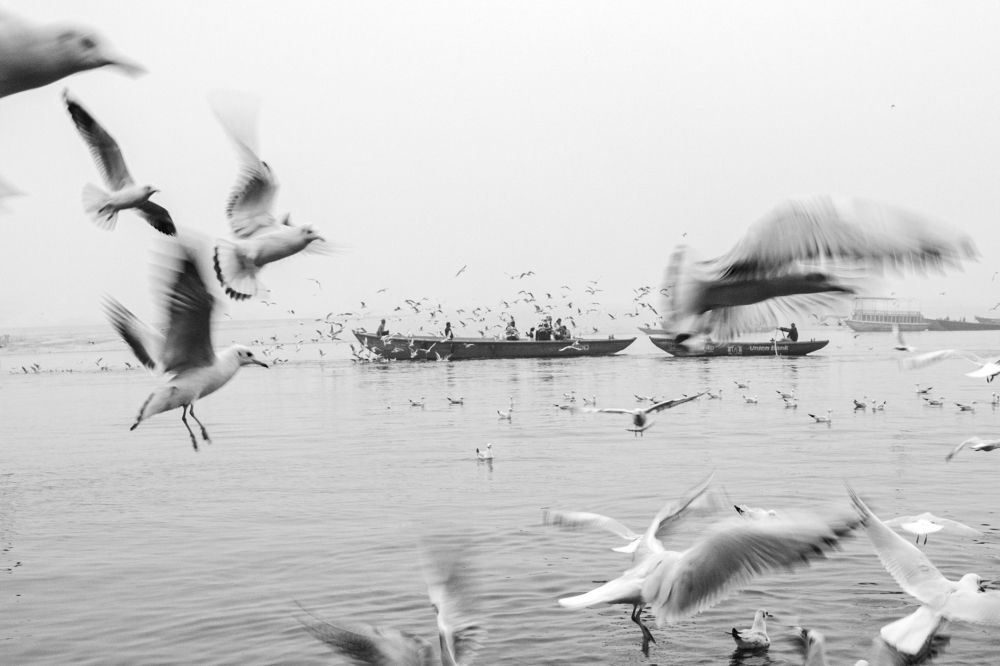 Photograph by saikat chanda