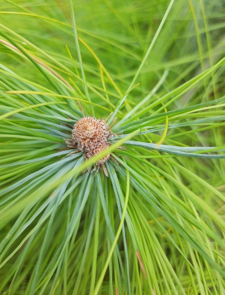 Photograph by Наталия