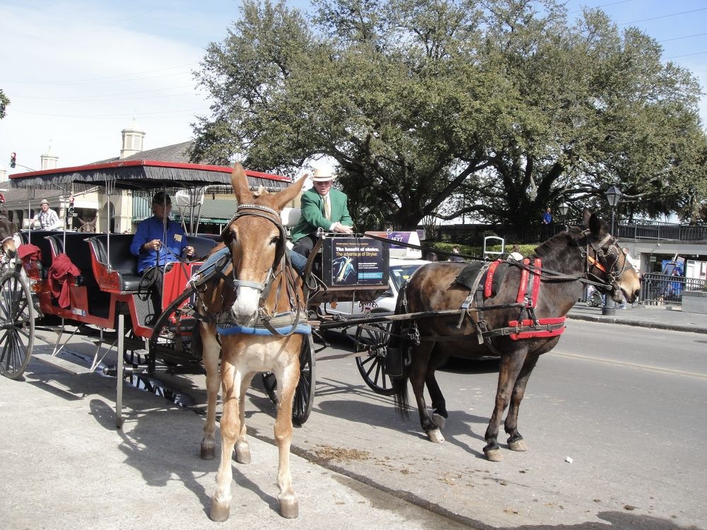 Photograph by Наталья Дмитриева