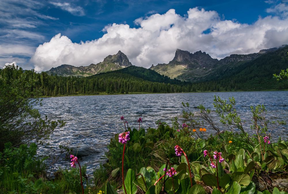 Фотография автора Анастасия Шахотская