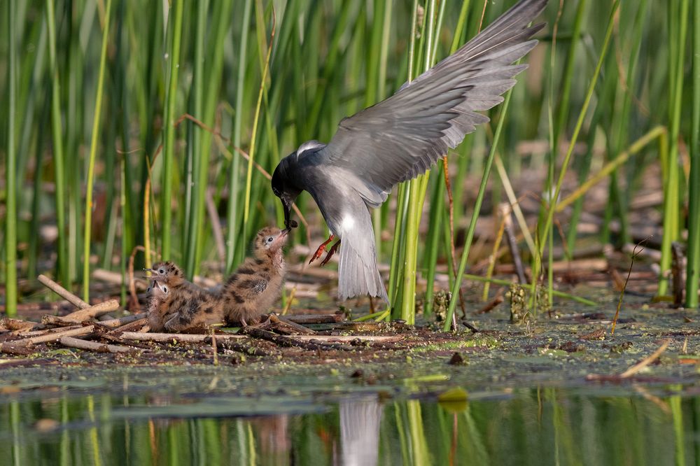 Photograph by Павел Краснослободцев