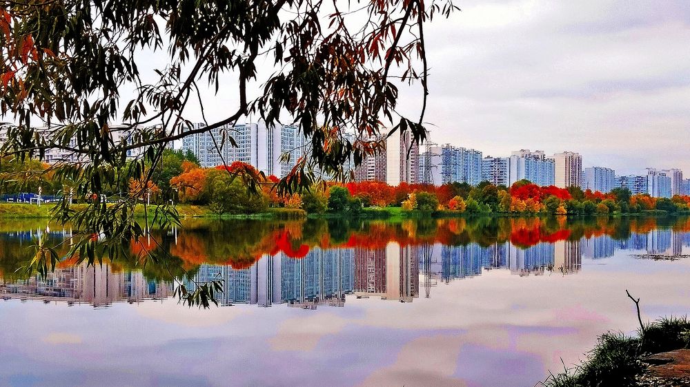 Фотография автора Евгений Карпов