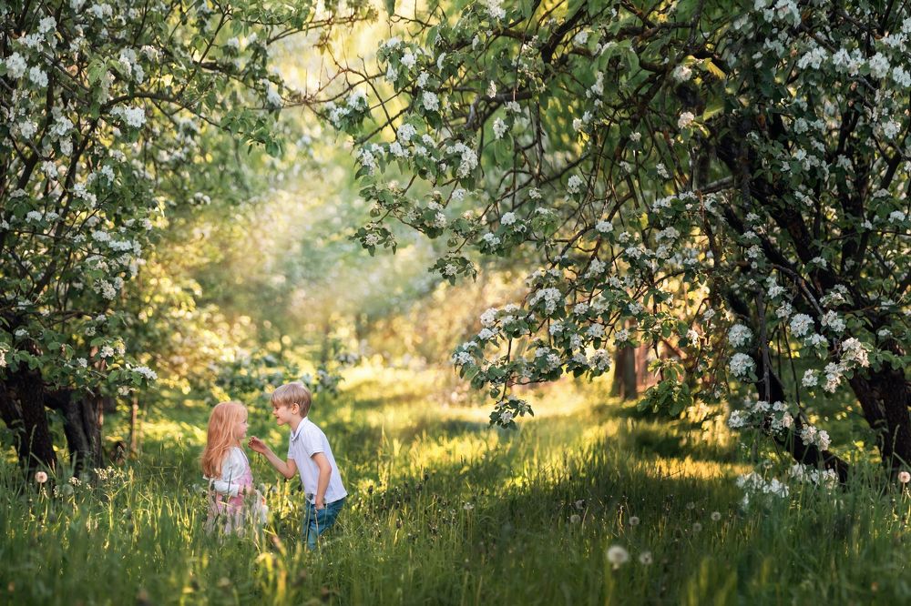 Photograph by Елена Лидмец