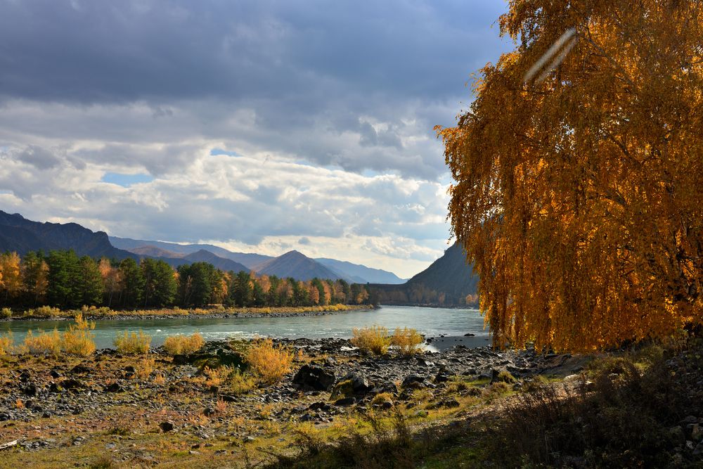 Photograph by Михаил Рогачев