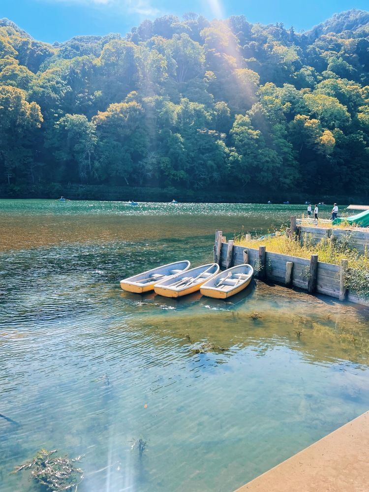 Photograph by Olga Mazo