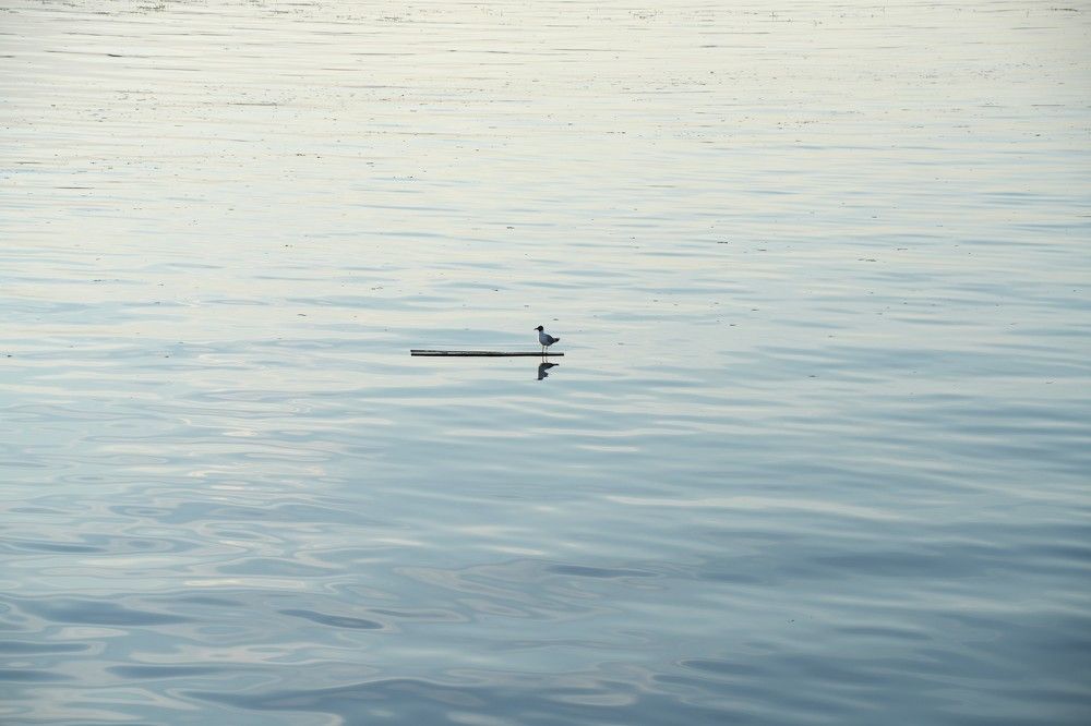 Photograph by Ольга Рачилова