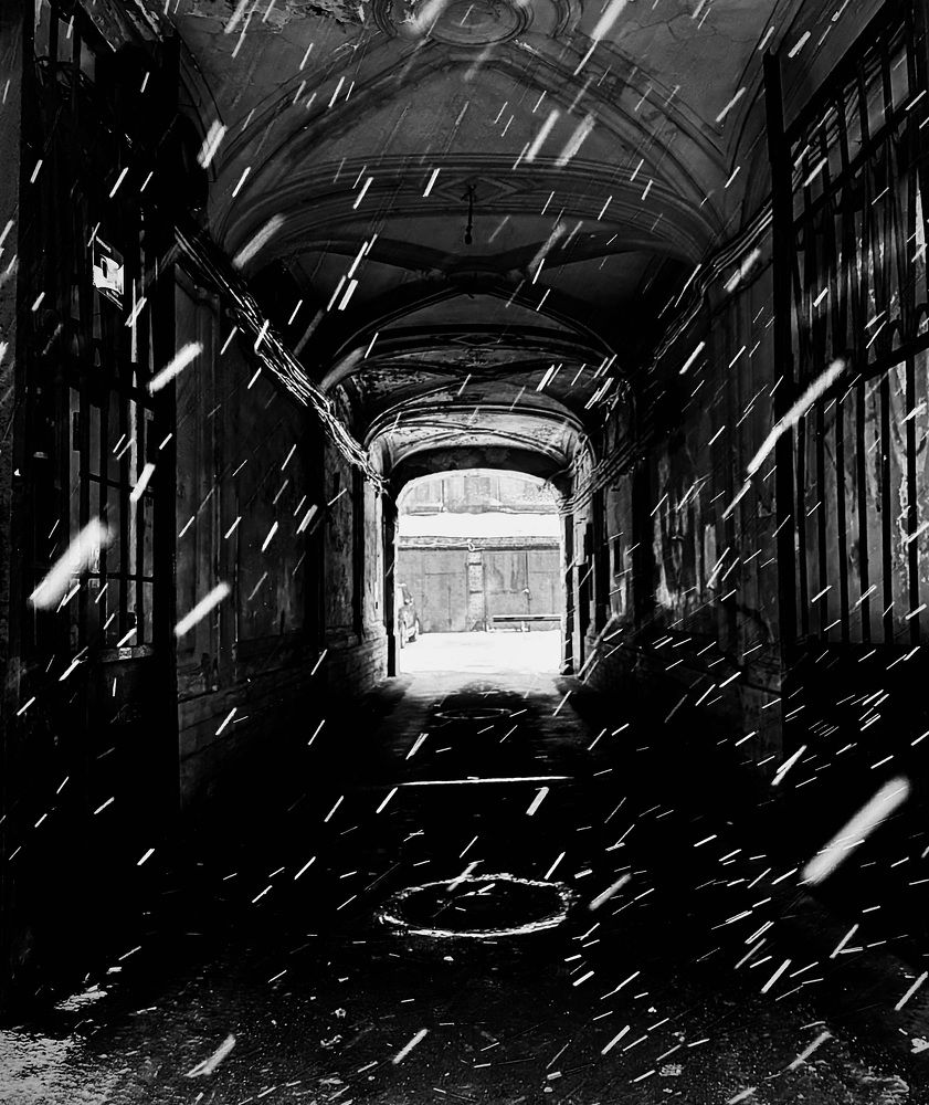 Фотография автора Анна