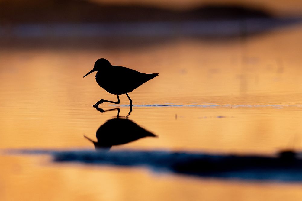 Photograph by Павел Краснослободцев