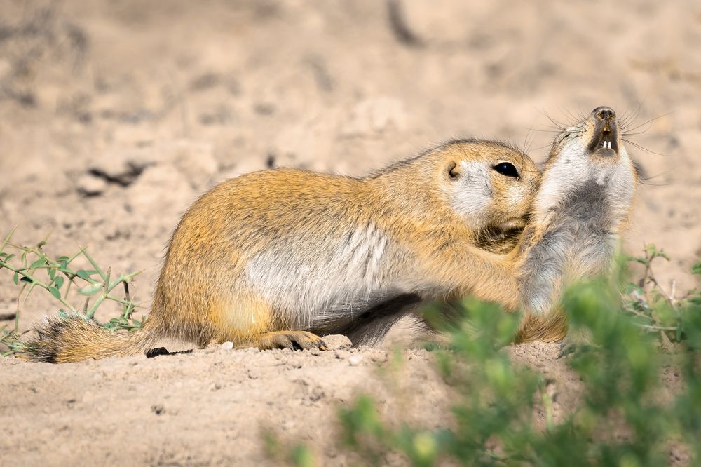 Photograph by Amin Maleki