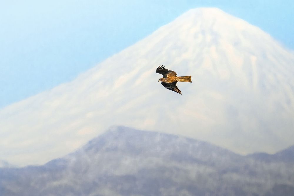 Photograph by Amin Maleki