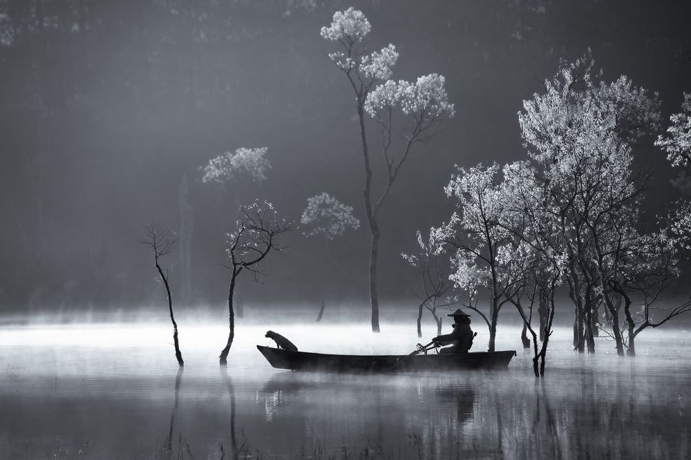 Фотография автора Lien Vu