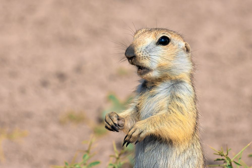 Photograph by Amin Maleki