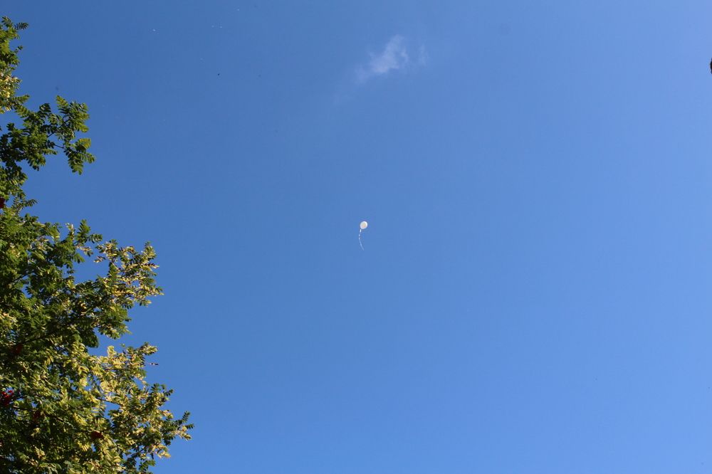 Photograph by СТЕПАН ДЖУЛАКИДЗЕ