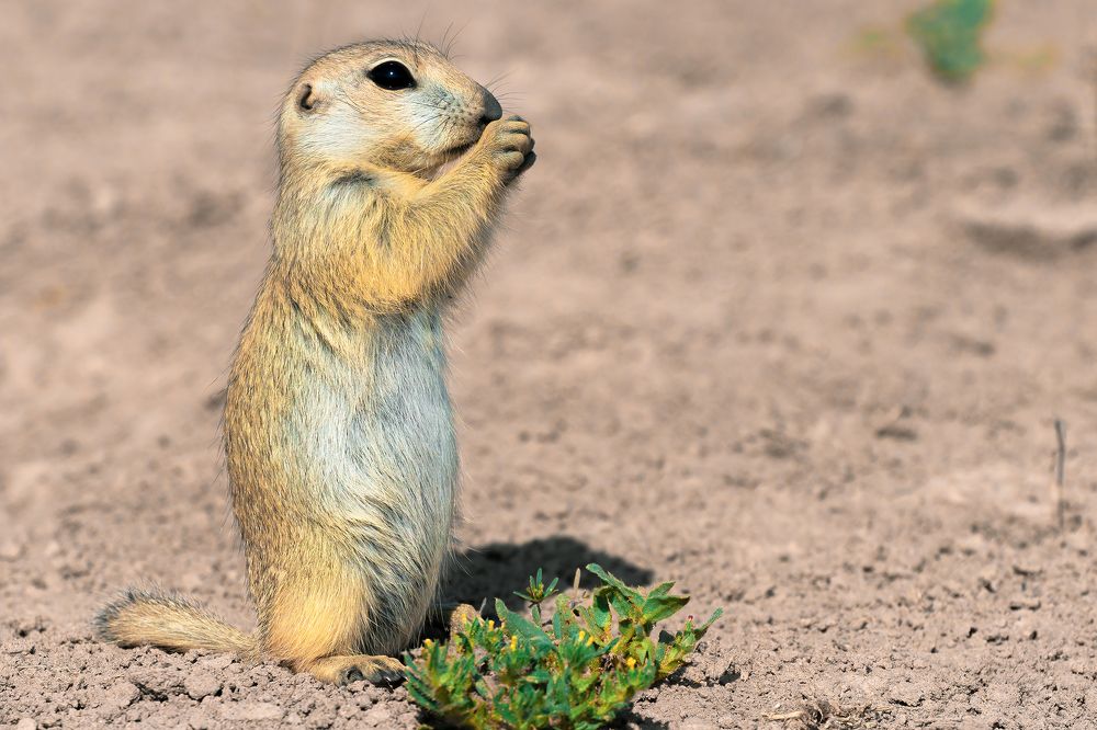 Photograph by Amin Maleki