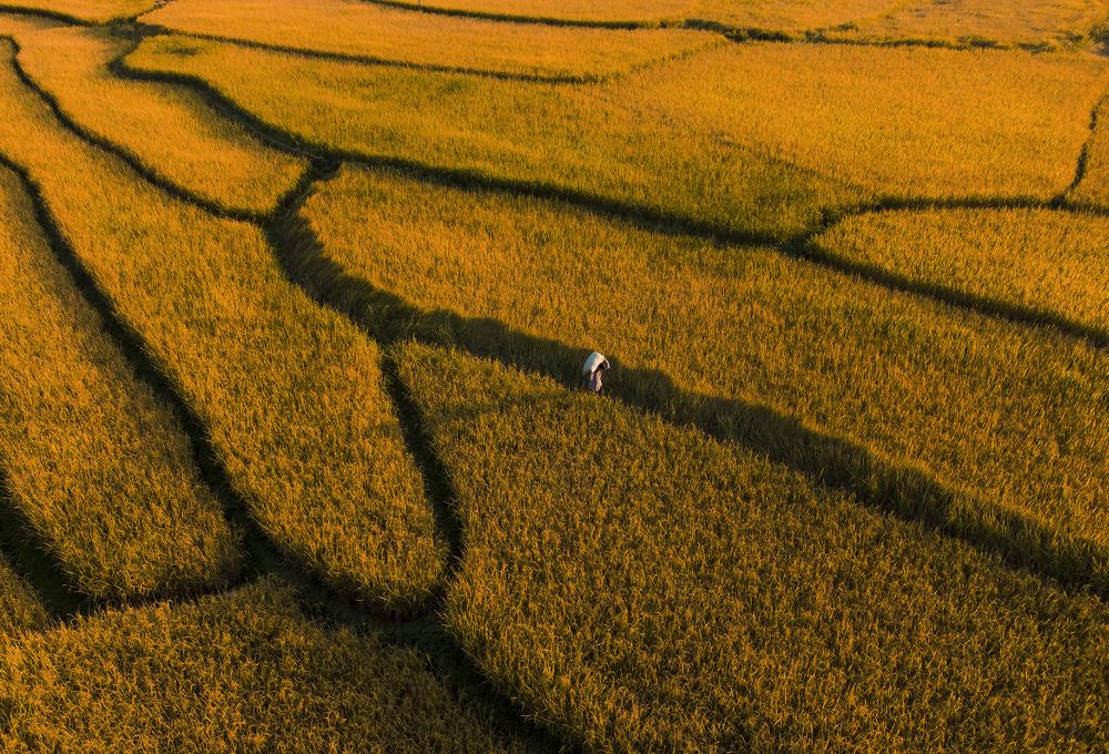 Photograph by Minh Chu Van