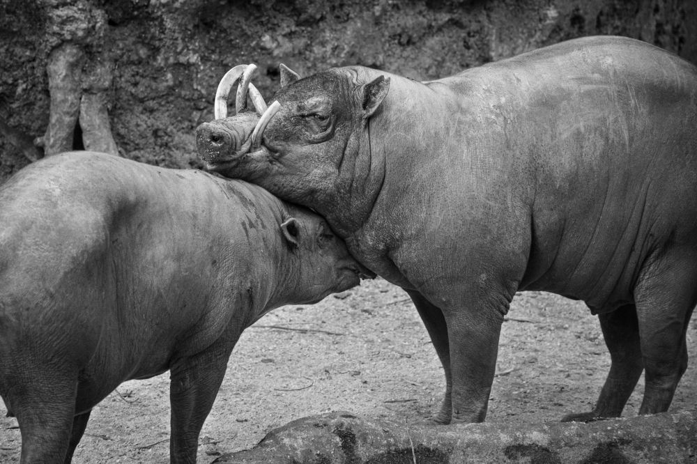 Photograph by Наталья Кокорина