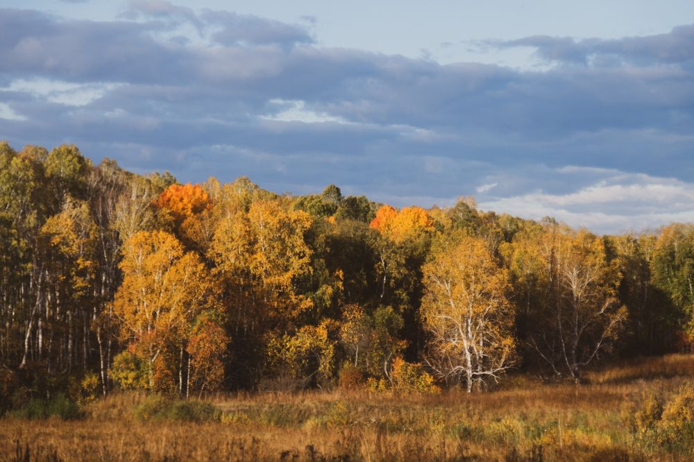Photograph by Алексей Хасанов