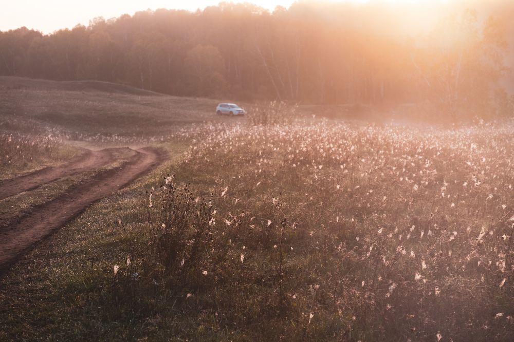 Photograph by Алексей Хасанов