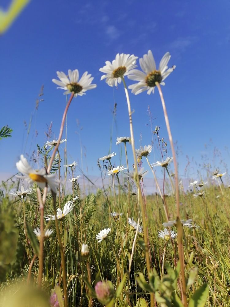 Photograph by Татьяна Бешенкина