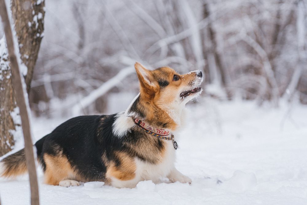 Photograph by Анна Полушина