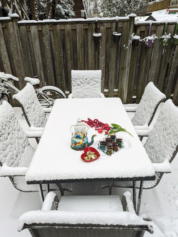 Snowy winter morning.