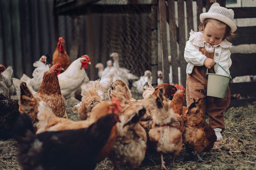 Photograph by Юлия Иващенко