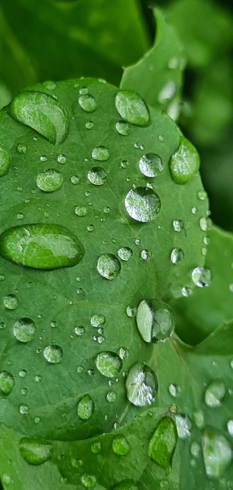 Photograph by Nadzeya