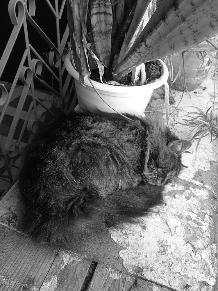 Photograph by Марина Гусева