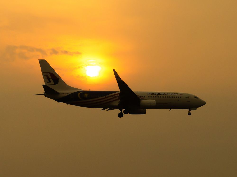 Фотография автора TAN LING ZI