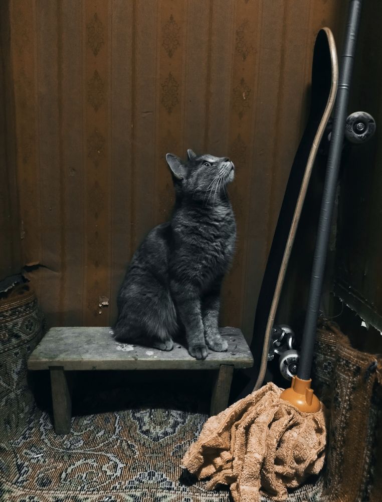 Фотография автора Александра