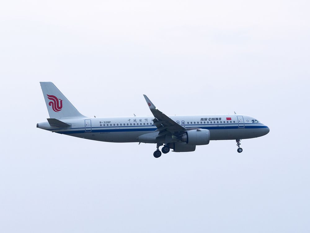 Фотография автора TAN LING ZI