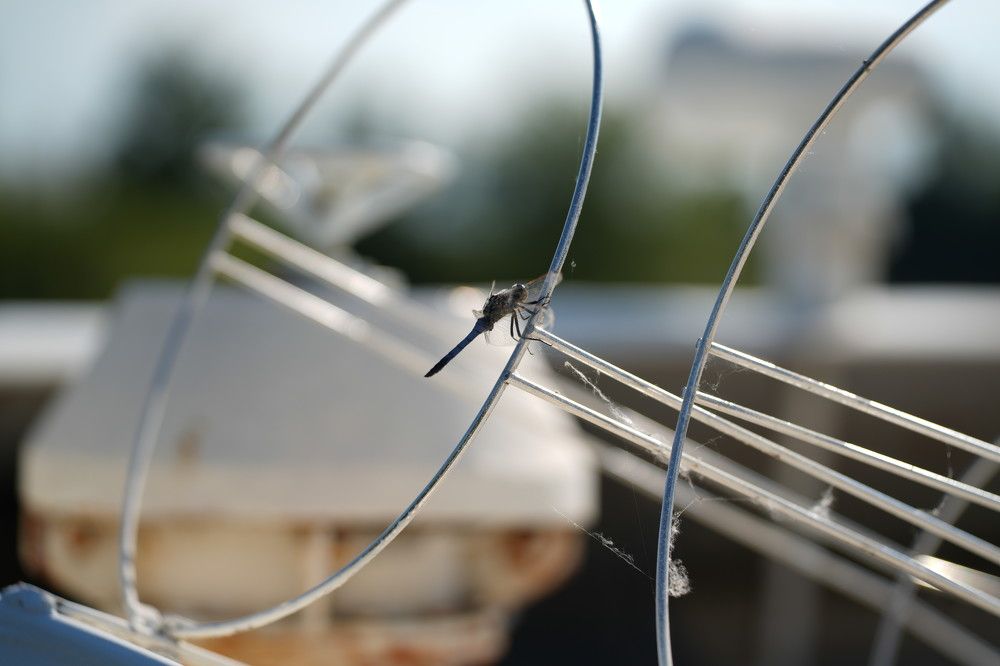 Photograph by Ольга Рачилова