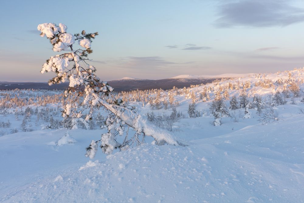 Фотография автора Губань Виктор