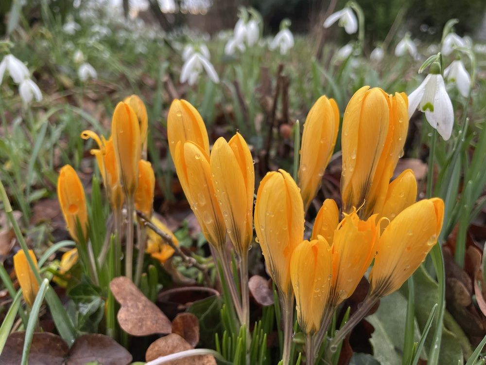 Photograph by Марина Дикманн